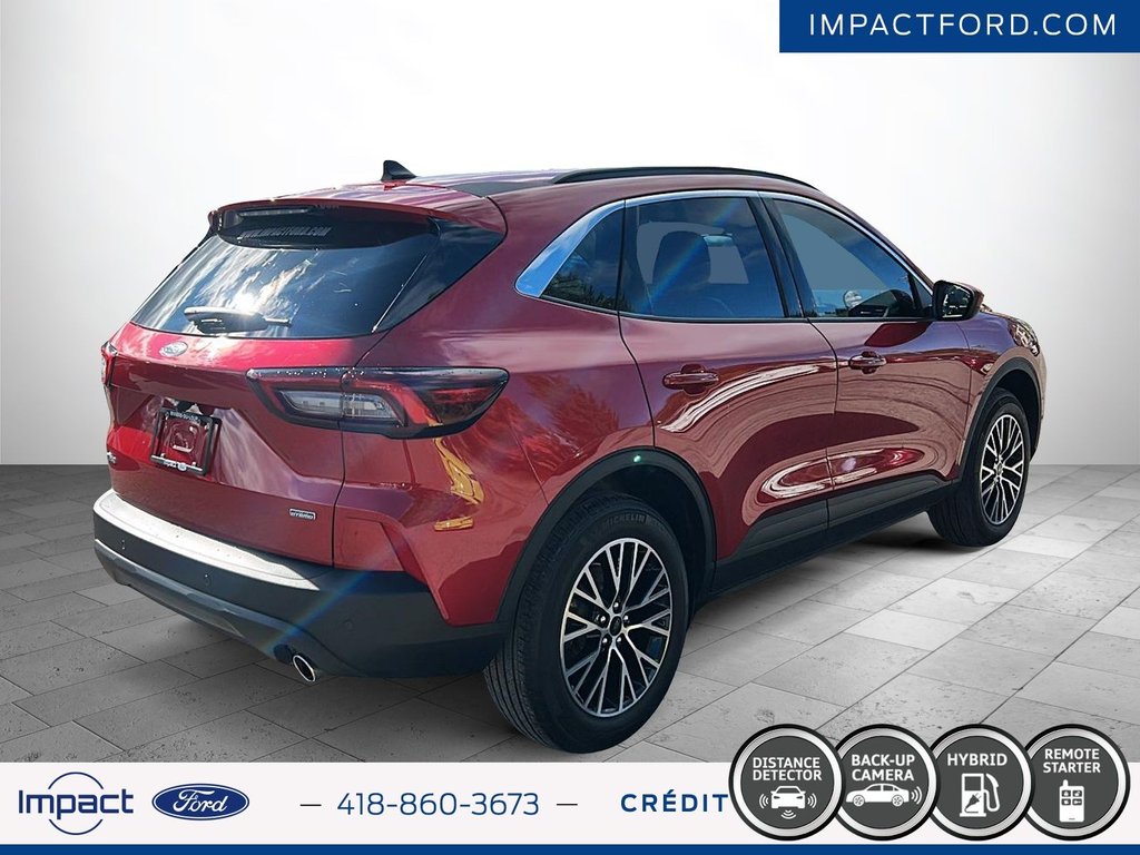 2024 Ford Escape PHEV in Rivière-du-Loup, Quebec - 5 - w1024h768px
