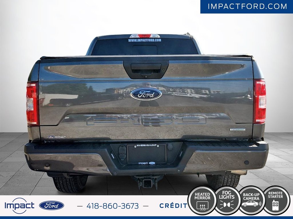 Ford F-150 XLT 2019 à Rivière-du-Loup, Québec - 6 - w1024h768px