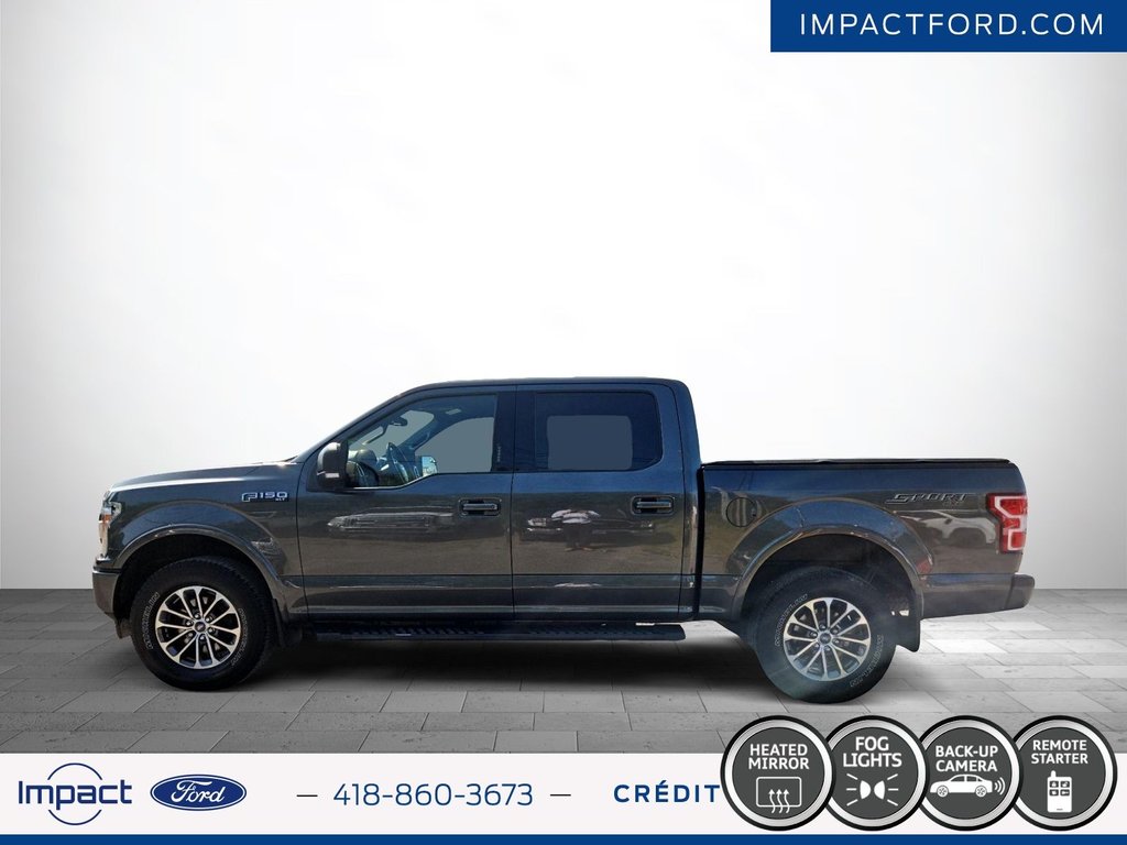 Ford F-150 XLT 2019 à Rivière-du-Loup, Québec - 8 - w1024h768px