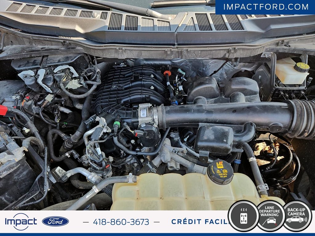 Ford F-150 XLT 2021 à Rivière-du-Loup, Québec - 10 - w1024h768px