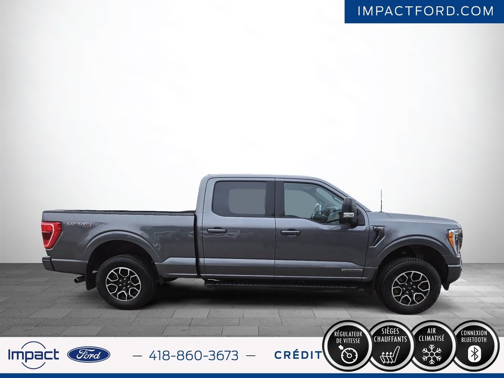 Ford F-150  2022 à Rivière-du-Loup, Québec - 4 - w1024h768px