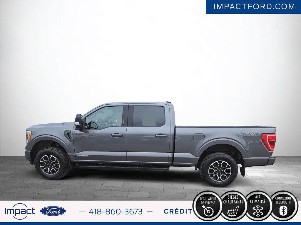 Ford F-150  2022 à Rivière-du-Loup, Québec - 8 - w1024h768px