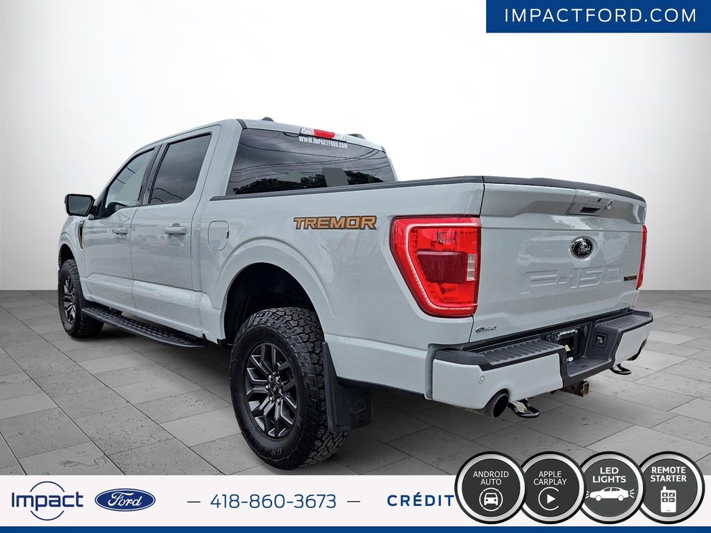 Ford F-150 TREMOR 2023 à Rivière-du-Loup, Québec - 7 - w1024h768px