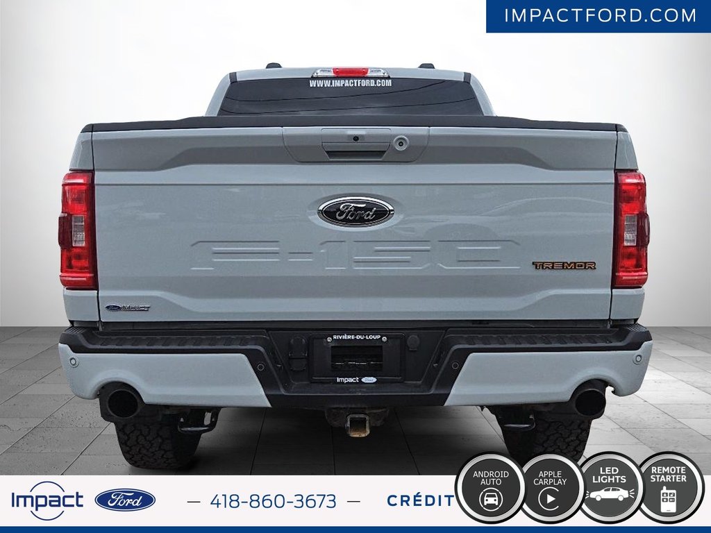 Ford F-150 TREMOR 2023 à Rivière-du-Loup, Québec - 6 - w1024h768px