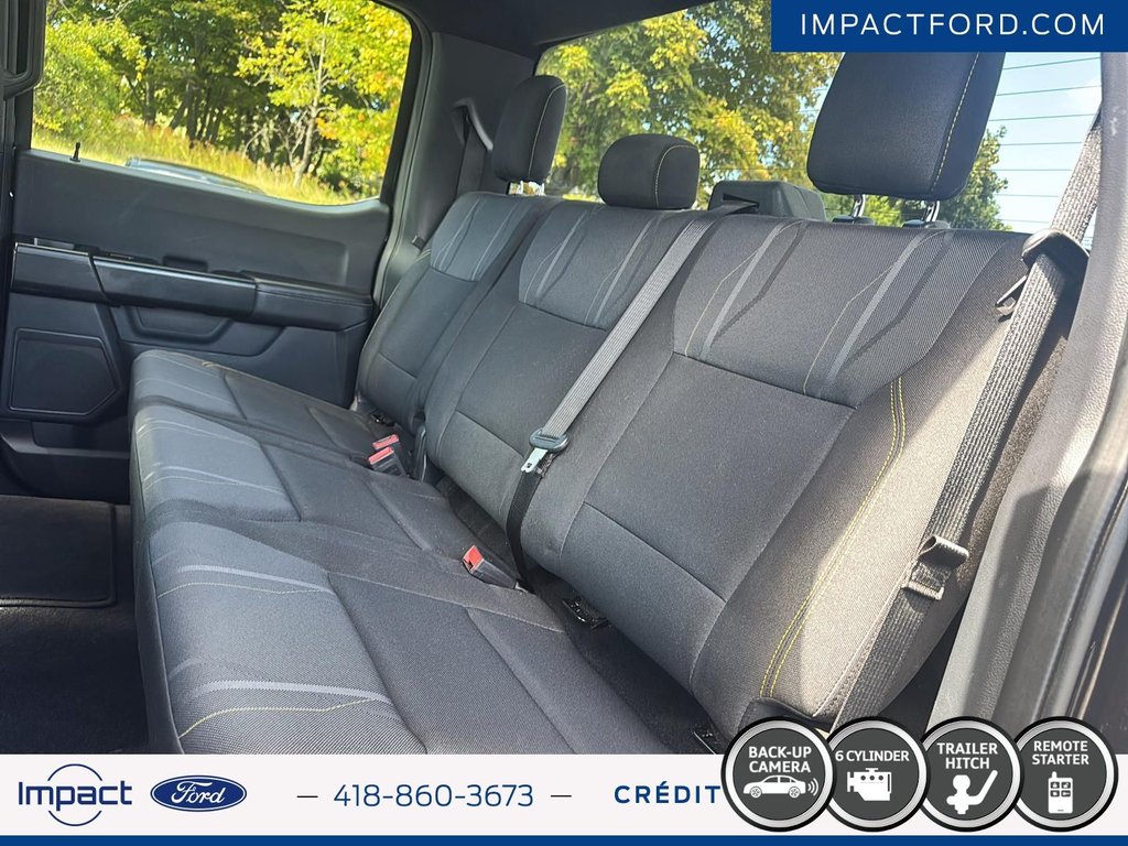 Ford F-150 STX 2024 à Rivière-du-Loup, Québec - 15 - w1024h768px