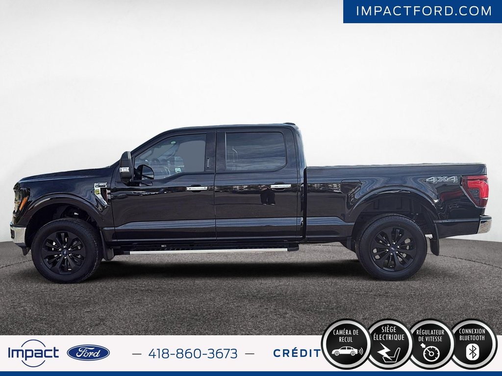 2024 Ford F-150 XLT in Rivière-du-Loup, Quebec - 5 - w1024h768px