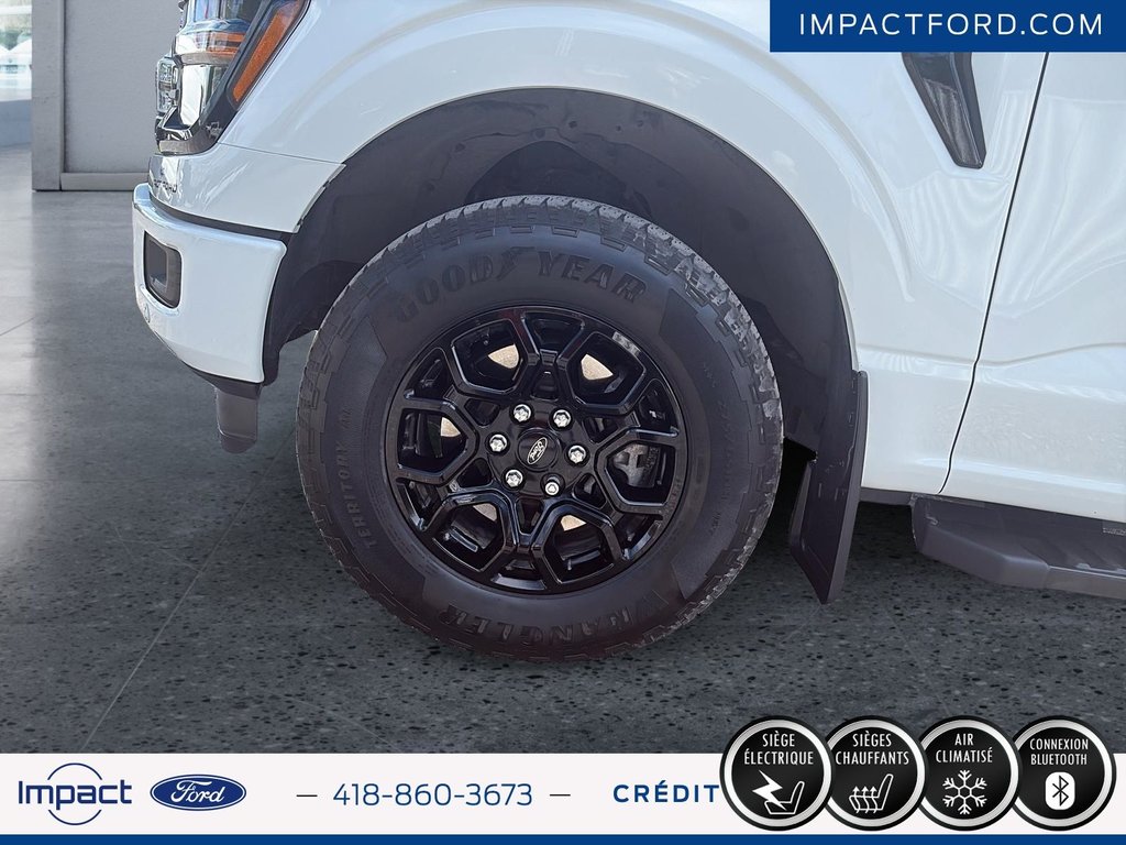 Ford F-150 XLT 2024 à Rivière-du-Loup, Québec - 3 - w1024h768px
