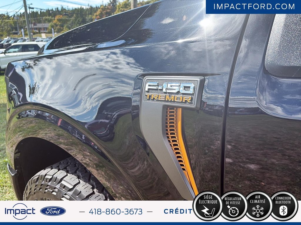 Ford F-150 Tremor 2024 à Rivière-du-Loup, Québec - 6 - w1024h768px