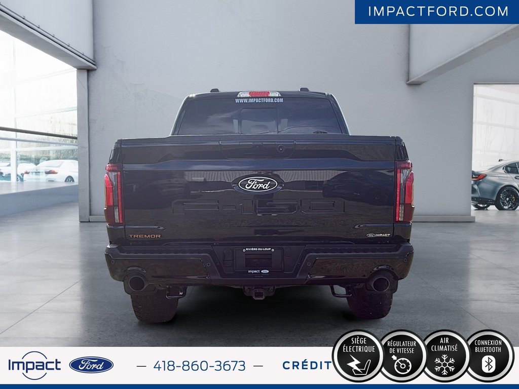Ford F-150 Tremor 2024 à Rivière-du-Loup, Québec - 3 - w1024h768px