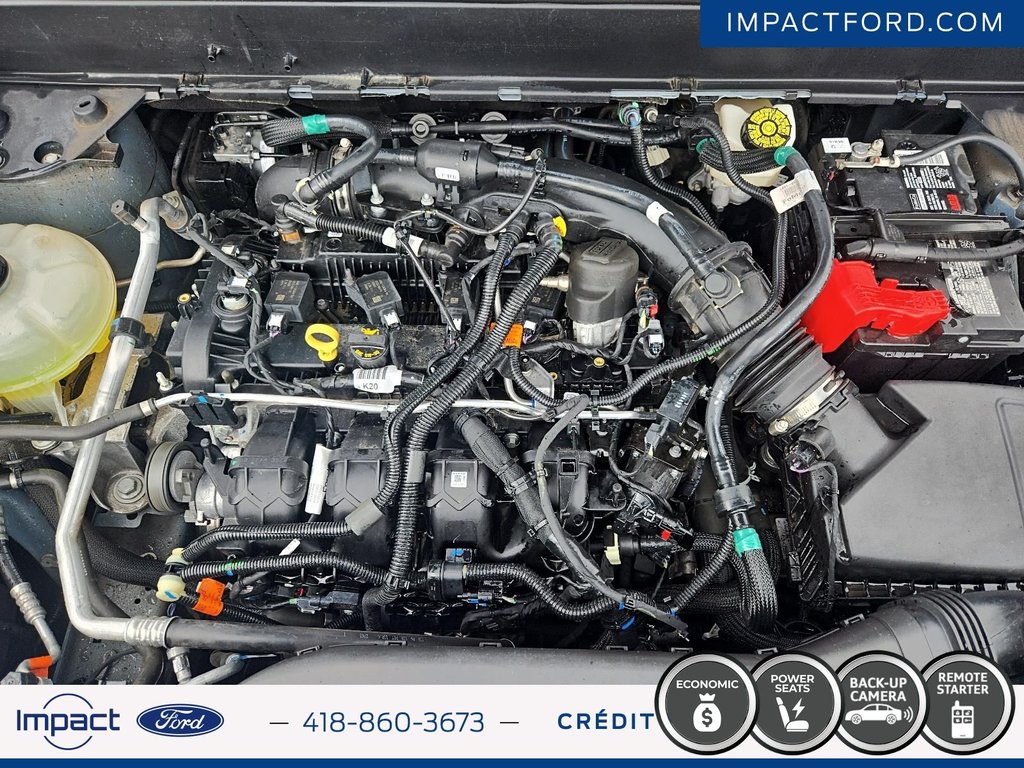 2024 Ford Maverick XLT in Rivière-du-Loup, Quebec - 10 - w1024h768px