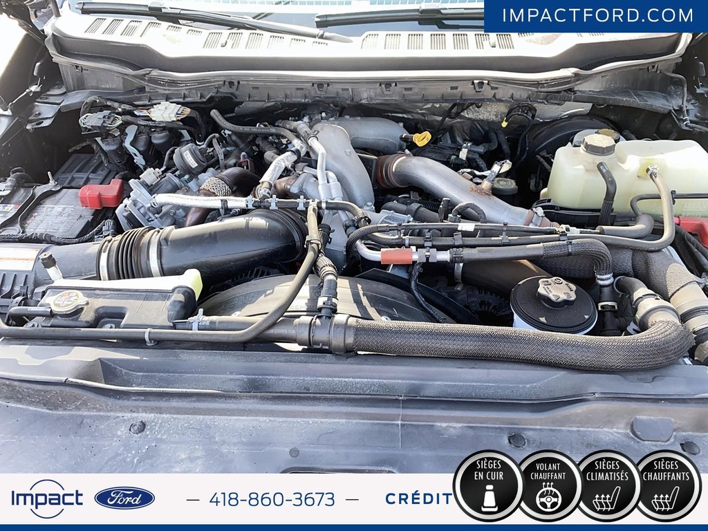2025 Ford Super Duty F-250 SRW TREMOR in Rivière-du-Loup, Quebec - 8 - w1024h768px