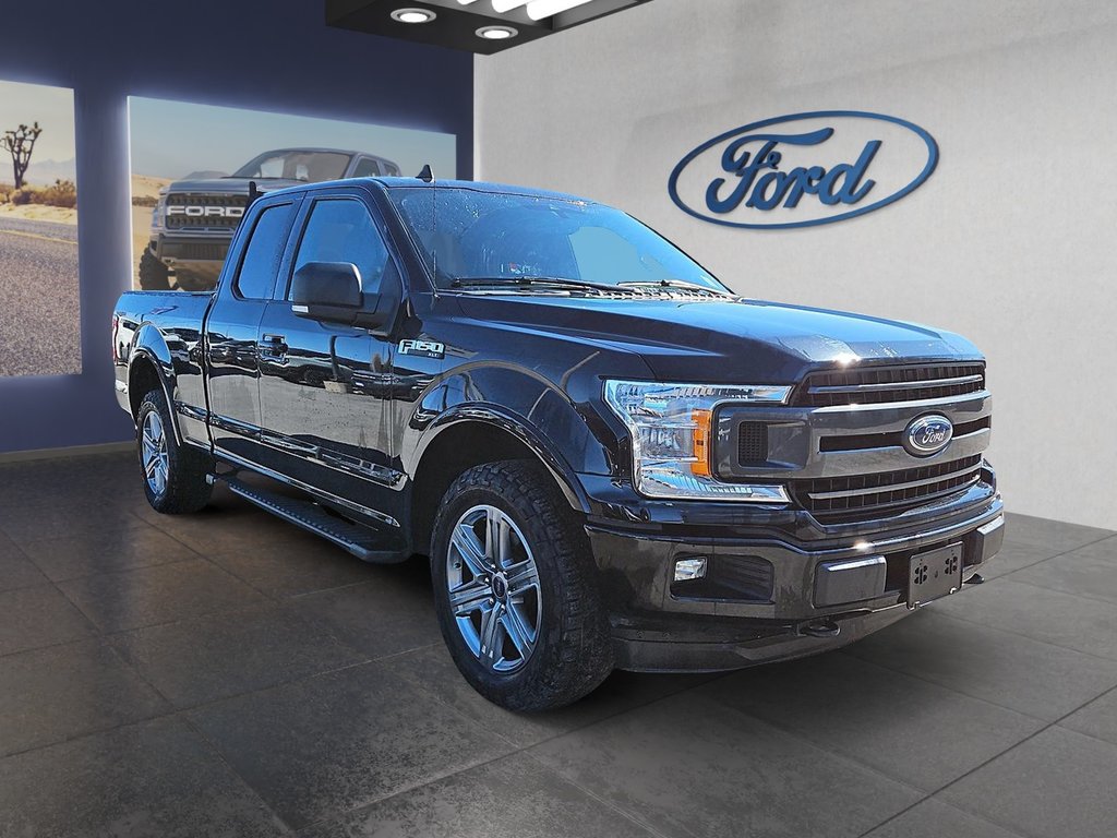 2019  F-150 XLT in Kingston, Ontario - 3 - w1024h768px