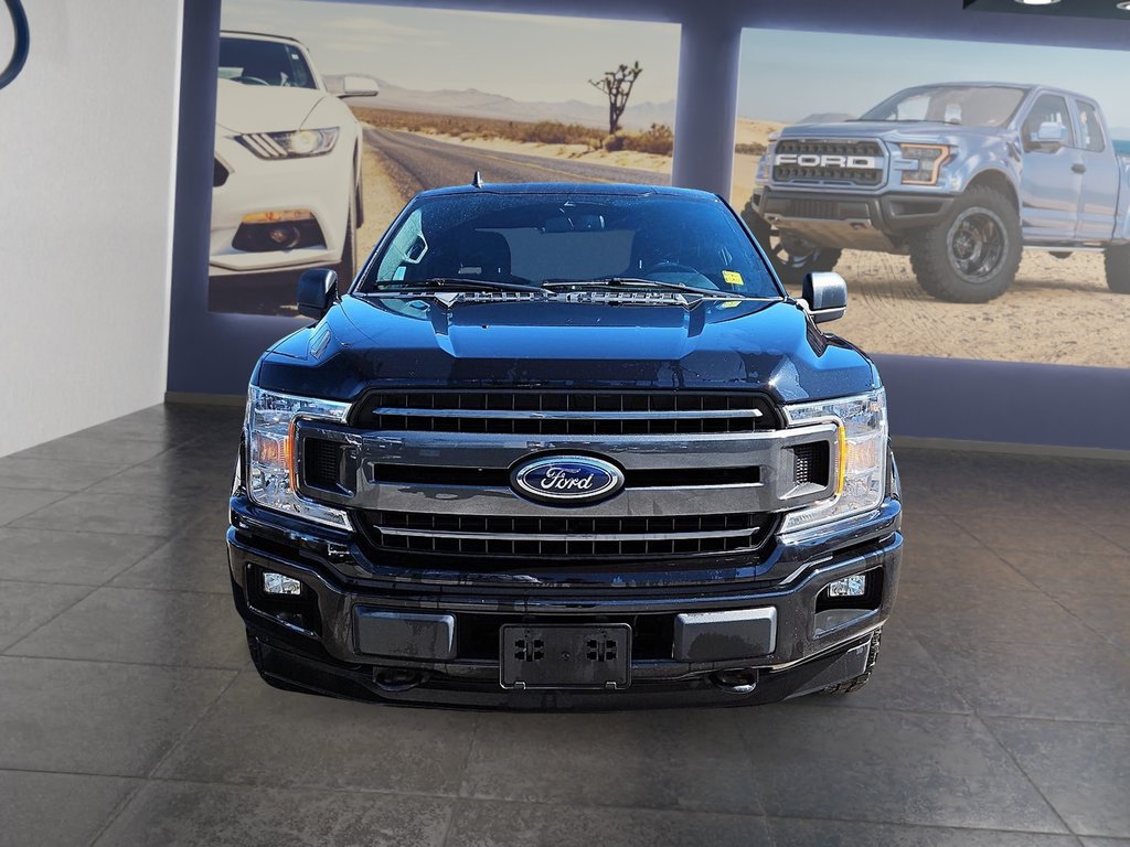 2019  F-150 XLT in Kingston, Ontario - 2 - w1024h768px