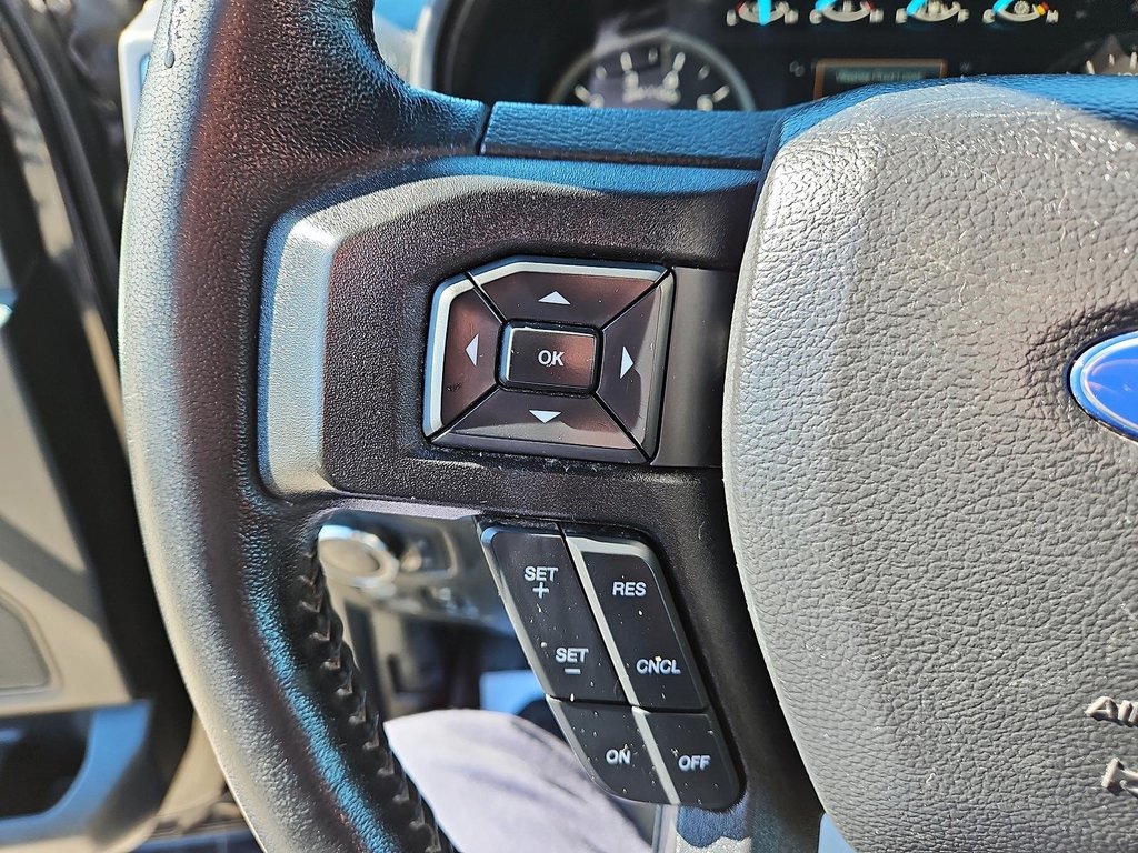 2019  F-150 XLT in Kingston, Ontario - 13 - w1024h768px