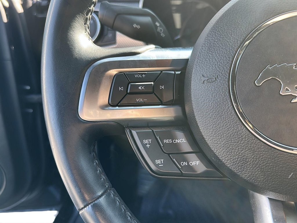 2018  Mustang GT in Kingston, Ontario - 14 - w1024h768px