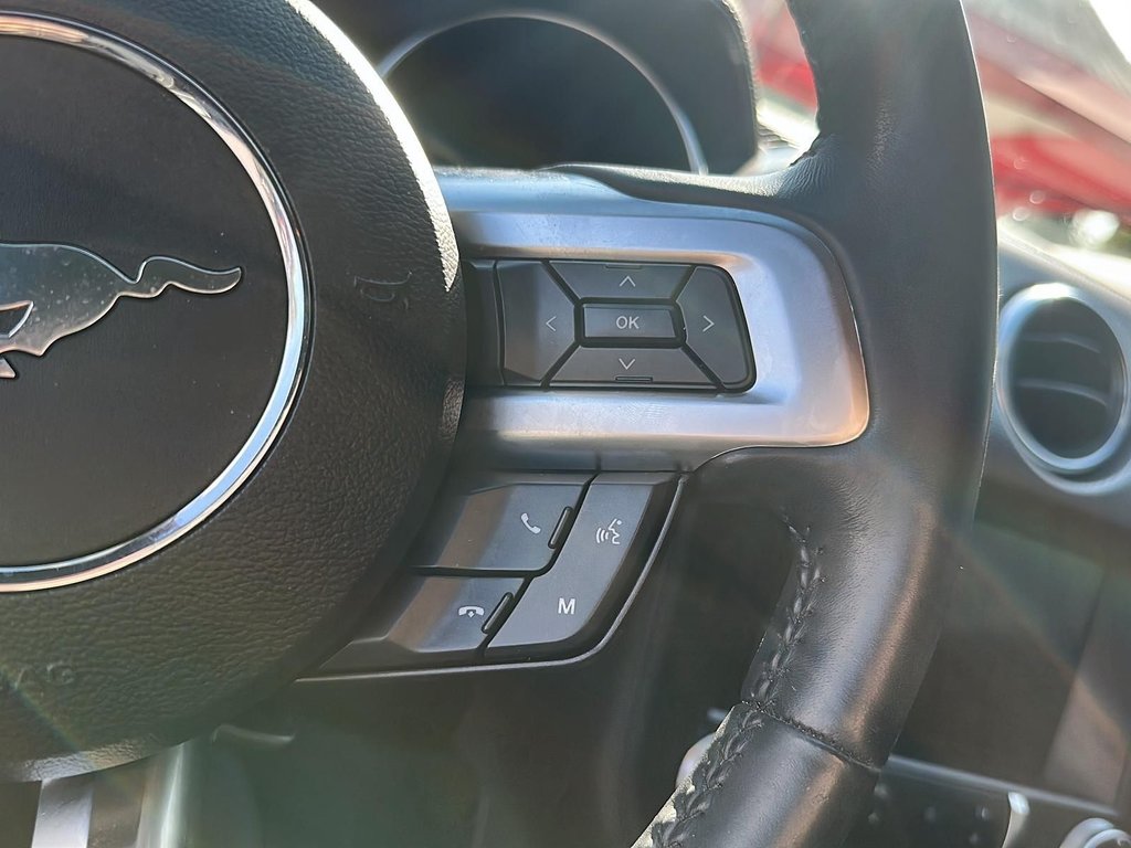 2018  Mustang GT in Kingston, Ontario - 15 - w1024h768px