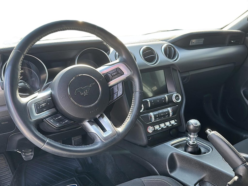 2018  Mustang GT in Kingston, Ontario - 8 - w1024h768px