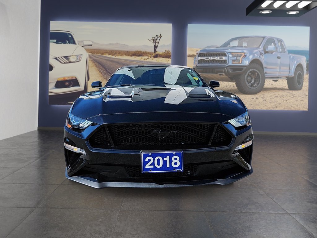 Mustang GT 2018 à Kingston, Ontario - 2 - w1024h768px