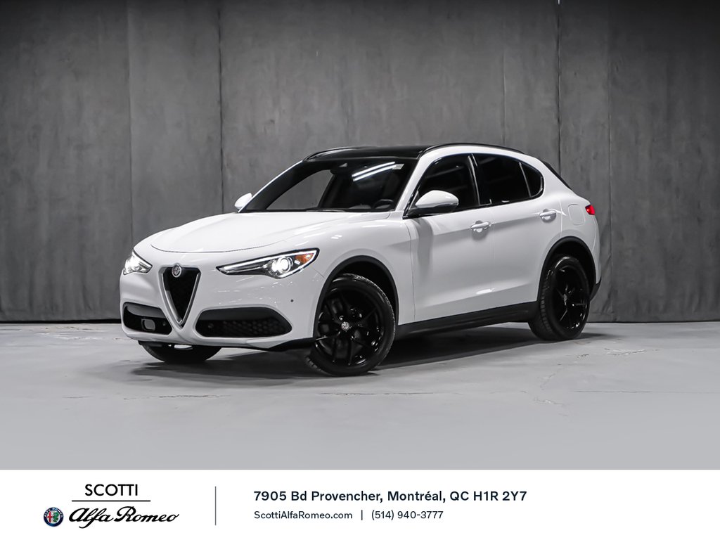 Alfa Romeo Stelvio TI SPORT ASSIST. DYNAMIC PLUS STATIC CONVENIENCE 2018-0