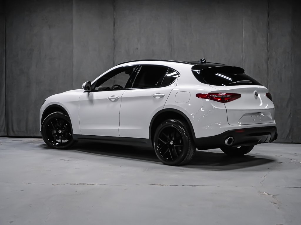 Alfa Romeo Stelvio TI SPORT ASSIST. DYNAMIC PLUS STATIC CONVENIENCE 2018-3