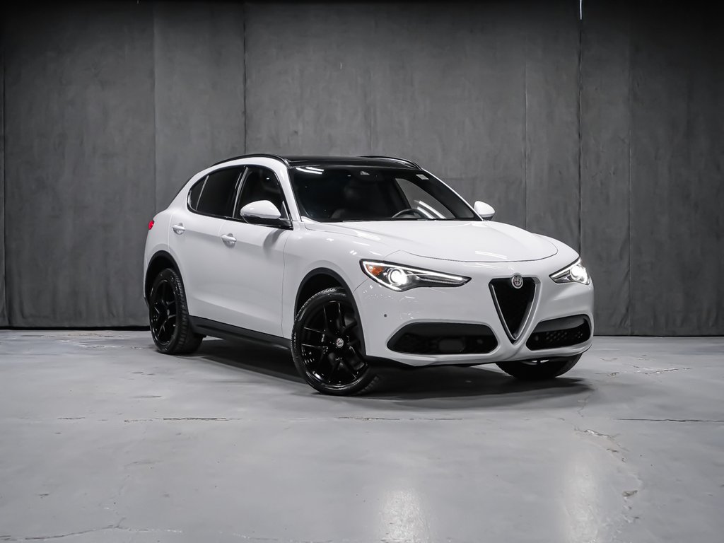 Alfa Romeo Stelvio TI SPORT ASSIST. DYNAMIC PLUS STATIC CONVENIENCE 2018-1