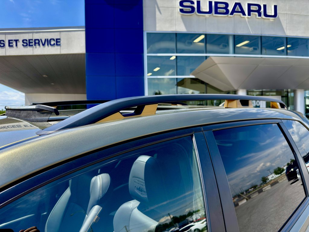 Subaru Forester Wilderness 2022 à Notre-Dame-des-Prairies, Québec - 11 - w1024h768px