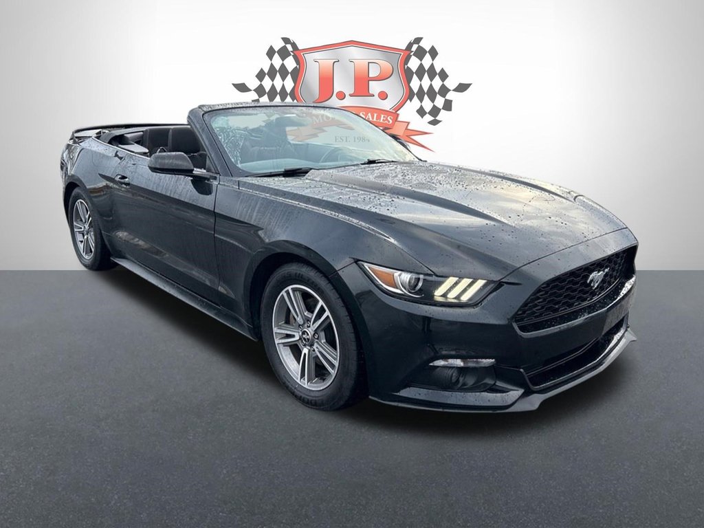 2017  Mustang V6   MANUAL   CONVERTIBLE   BLUETOOTH   CAMERA in Hannon, Ontario - 9 - w1024h768px