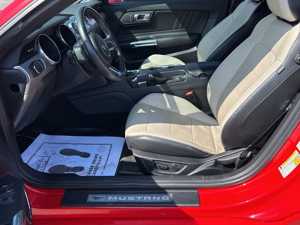 2019  Mustang EcoBoost   CAMERA   BLUETOOTH   HEATED SEATS in Hannon, Ontario - 13 - w1024h768px