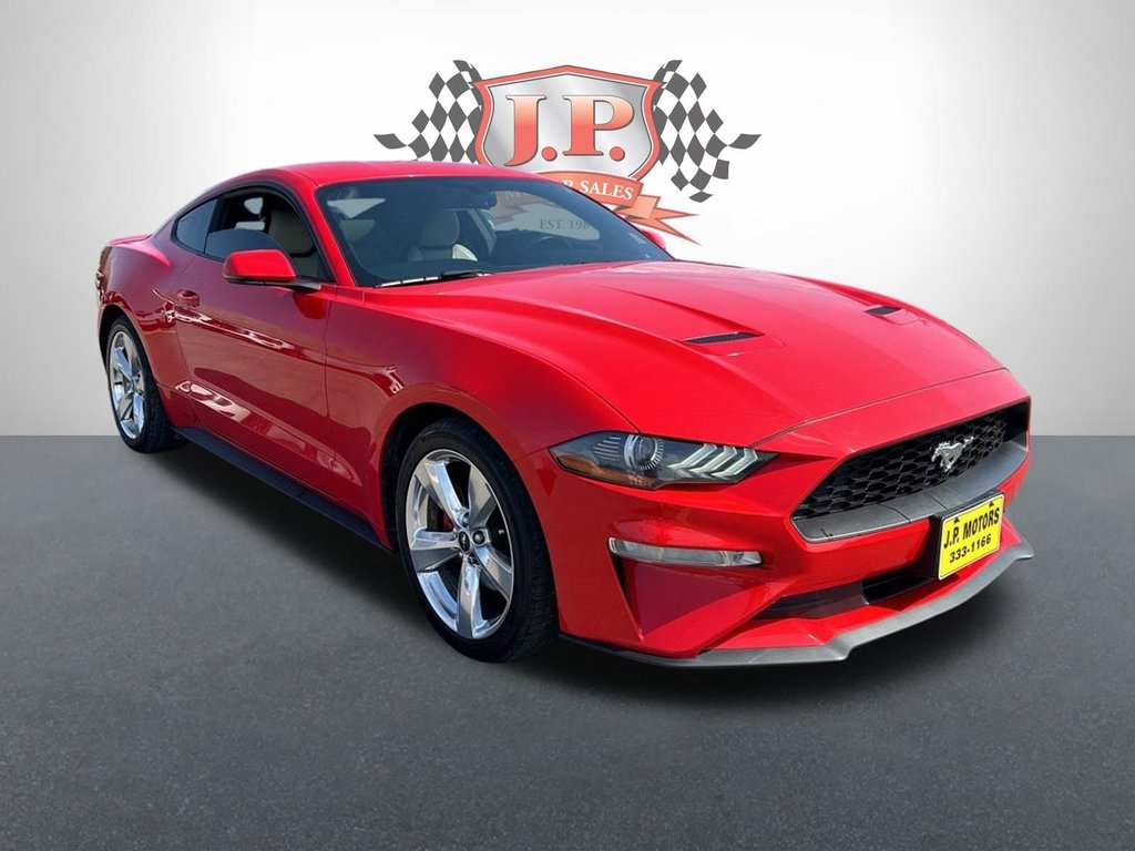 2019  Mustang EcoBoost   CAMERA   BLUETOOTH   HEATED SEATS in Hannon, Ontario - 9 - w1024h768px
