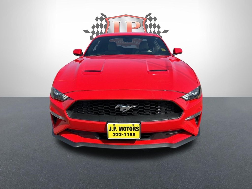 2019  Mustang EcoBoost   CAMERA   BLUETOOTH   HEATED SEATS in Hannon, Ontario - 10 - w1024h768px