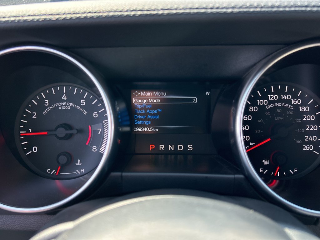 2019  Mustang EcoBoost   CAMERA   BLUETOOTH   HEATED SEATS in Hannon, Ontario - 17 - w1024h768px