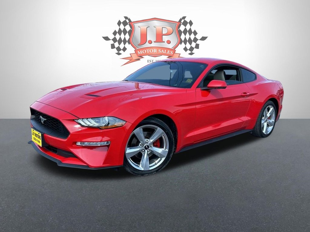 2019  Mustang EcoBoost   CAMERA   BLUETOOTH   HEATED SEATS in Hannon, Ontario - 1 - w1024h768px