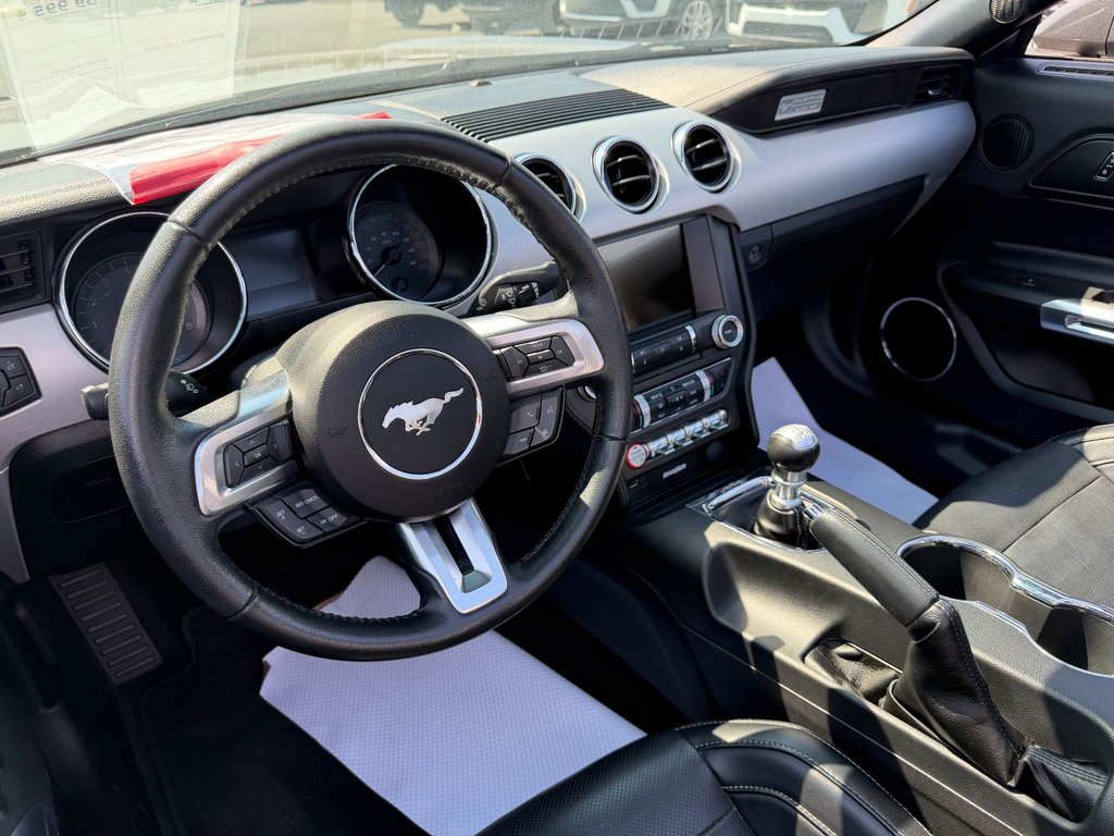 Ford Mustang GT Premium MANUELLE 2017 à Saint-Georges, Québec - 21 - w1024h768px