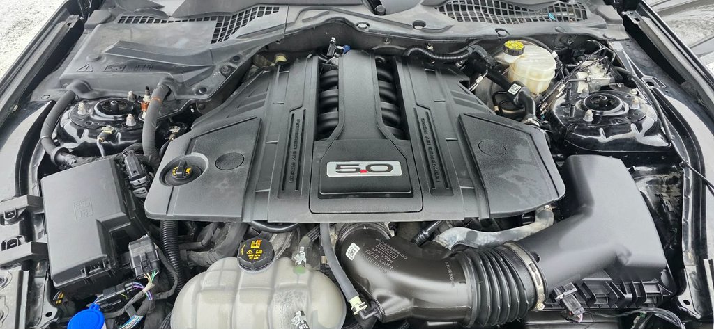 2022 Ford Mustang GT in Saint-Georges, Quebec - 18 - w1024h768px