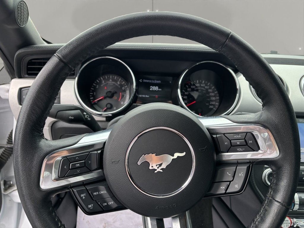 2017 Ford Mustang GT in Saint-Georges, Quebec - 17 - w1024h768px