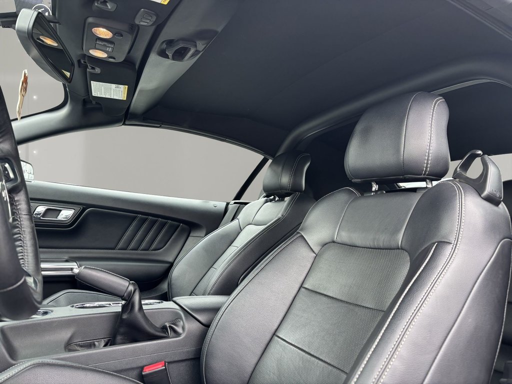 2017 Ford Mustang GT in Saint-Georges, Quebec - 14 - w1024h768px