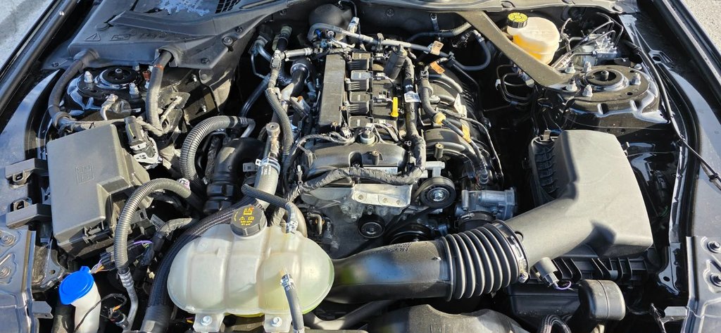 2022 Ford MUSTANG in Saint-Georges, Quebec - 15 - w1024h768px