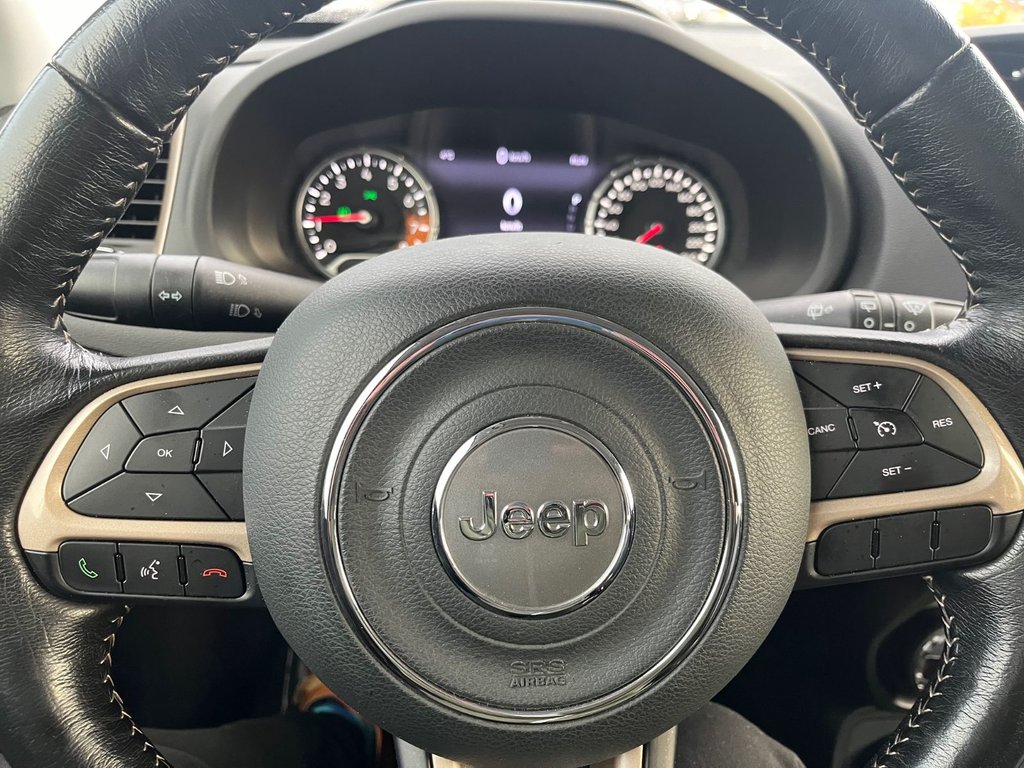 2017 Jeep RENEGADE TRAILHAWK in Saint-Georges, Quebec - 11 - w1024h768px