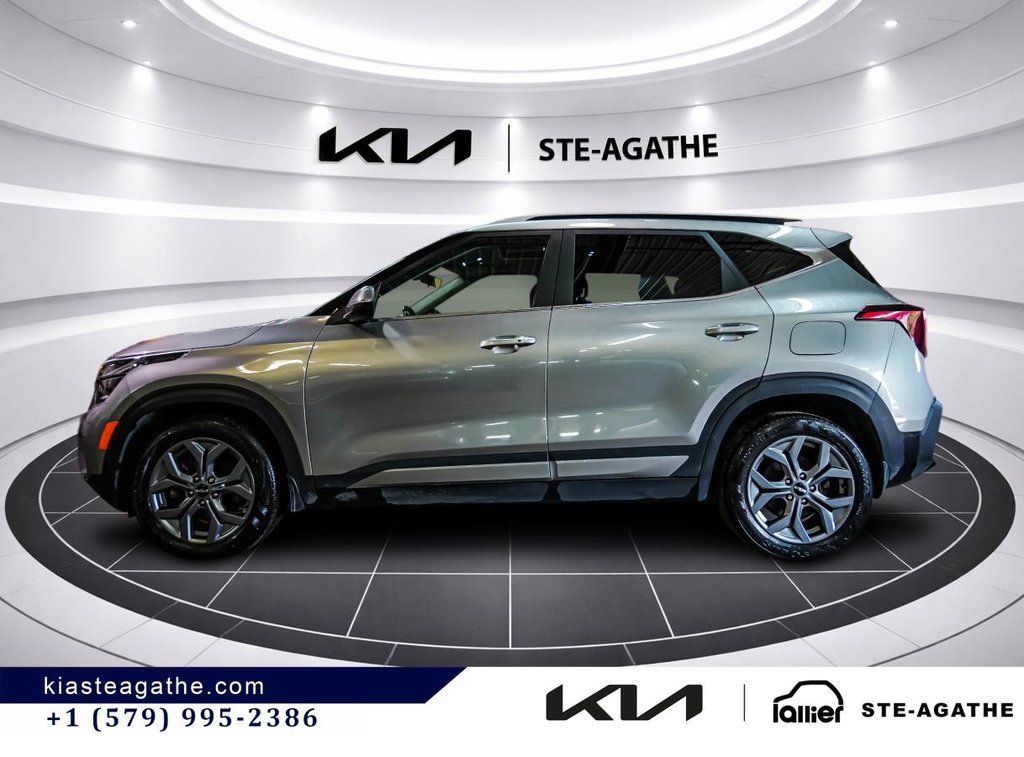 Kia Seltos EX AWD **JAMAIS ACCIDENTÉ**GARANTIE 10 ANS/ 200 000KM** CUIR+TOIT OUVRANT+VOLANT CHAUFFANT** 2024 à Montréal, Québec - 4 - w1024h768px