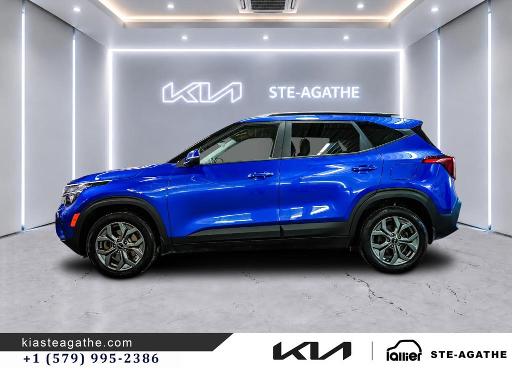 Kia Seltos LX AWD**JAMAIS ACCIDENTÉ**GARANTIE 10 ANS OU 200 000KM**BANCS CHAUFFANTS**APPLE CARPLAY** 2024 à Montréal, Québec - 4 - w1024h768px