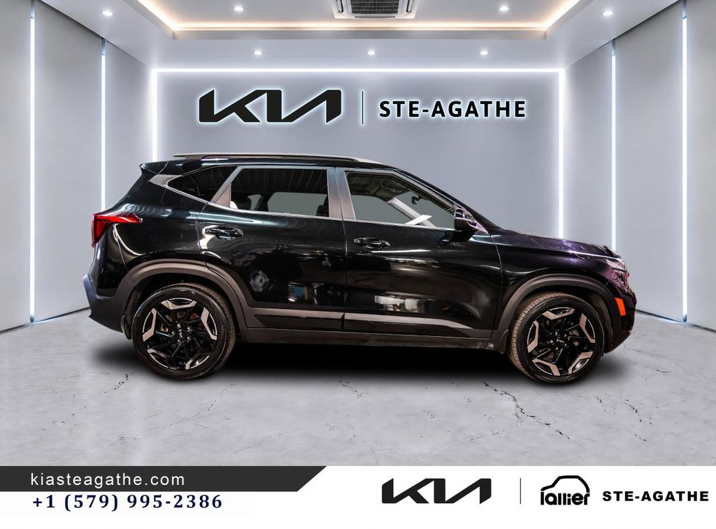 Kia Seltos SX  AWD**GARANTIE 10 ANS OU 200 000KM**CUIR**TOIT OUVRANT**BANCS VENTILÉS 2024 à Montréal, Québec - 8 - w1024h768px