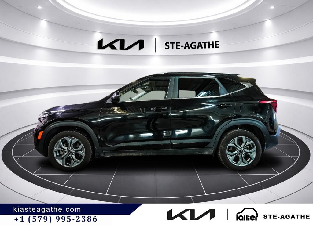 Kia Seltos EX AWD **JAMAIS ACCIENTÉ+GARANTIE 10 ANS/ 200 000KM** TOIT OUVRANT+SIÈGES EN CUIR+VOLANT CHAUFFANT** 2025 à Montréal, Québec - 4 - w1024h768px