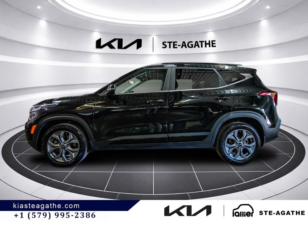 Kia Seltos EX AWD **JAMAIS ACCIENTÉ+GARANTIE 10 ANS/ 200 000KM** TOIT OUVRANT+SIÈGES EN CUIR+VOLANT CHAUFFANT** 2025 à Montréal, Québec - 4 - w1024h768px