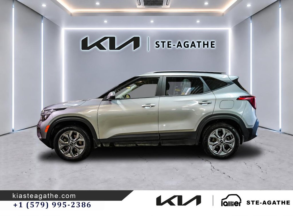 Kia Seltos LX AWD**JAMAIS ACCIDENTÉ**GARANTIE 10 ANS OU 200 000KM**BANCS CHAUFFANTS**APPLE CARPLAY** 2025 à Montréal, Québec - 4 - w1024h768px