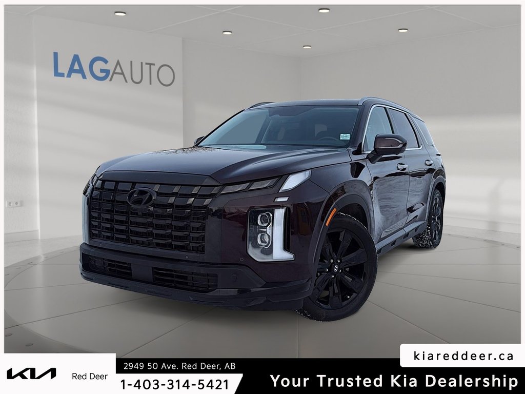 2023 Hyundai Palisade Urban-0