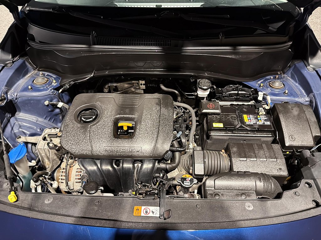 2023 Kia Seltos LX-7