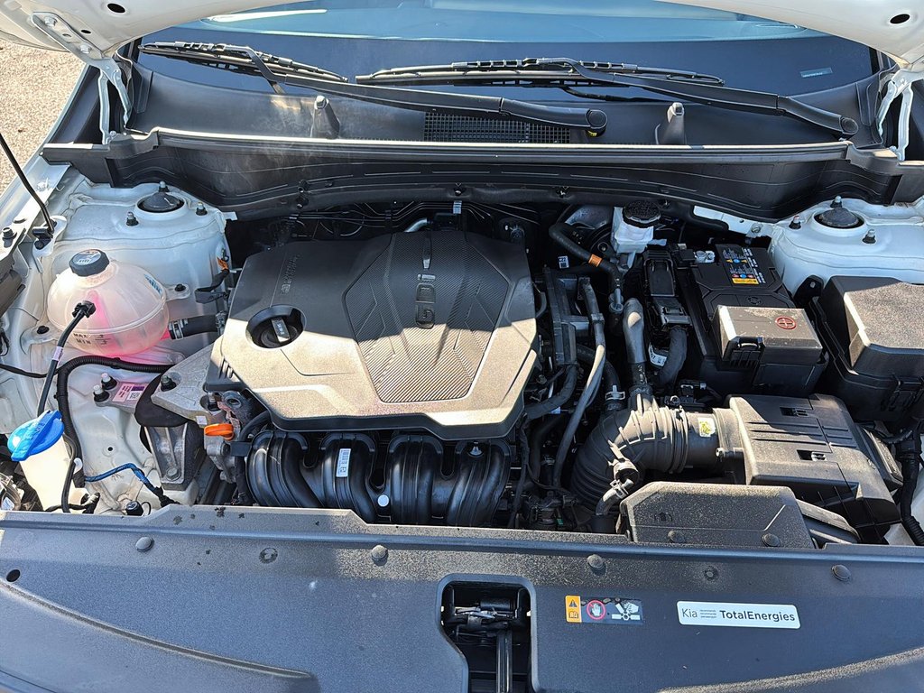 2024 Kia Sportage LX-7