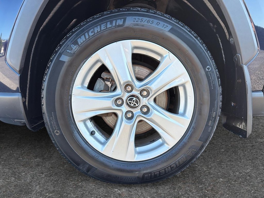 2019 Toyota RAV4 XLE-6