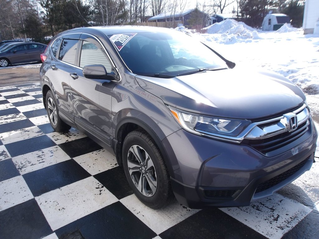 2019 Honda CR-V LX - alloys, a/c, heated seats, reverse camera in COLDBROOK, Nova Scotia - 3 - w1024h768px