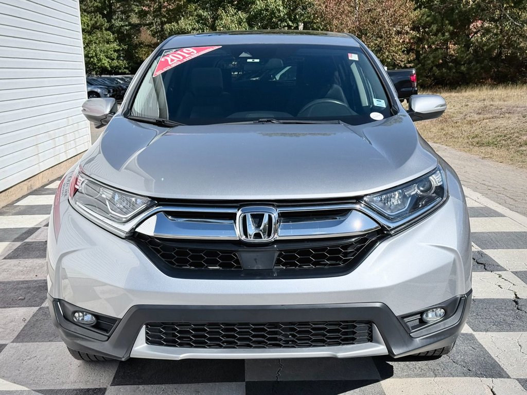 2019 Honda CR-V EX Heated Seats, Sunroof, CarPlay & Android Auto in COLDBROOK, Nova Scotia - 2 - w1024h768px